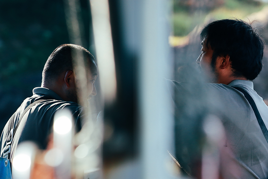 情家さんご兄弟