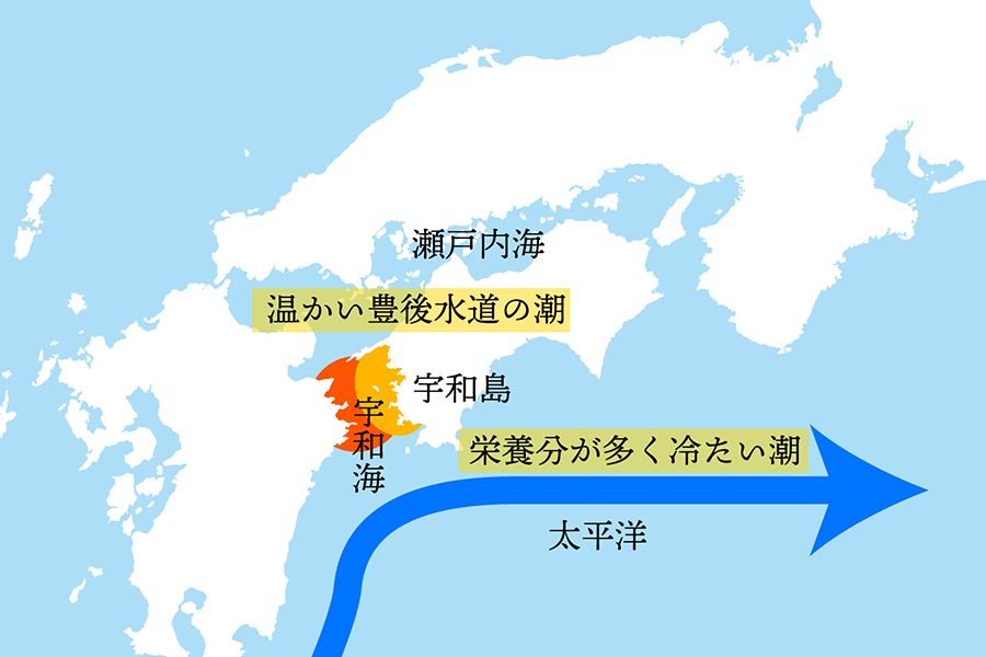 宇和海の地図