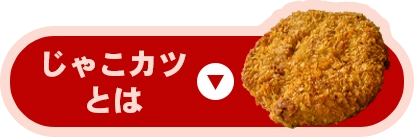 じゃこカツとは