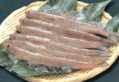 食材・道具へのこだわり