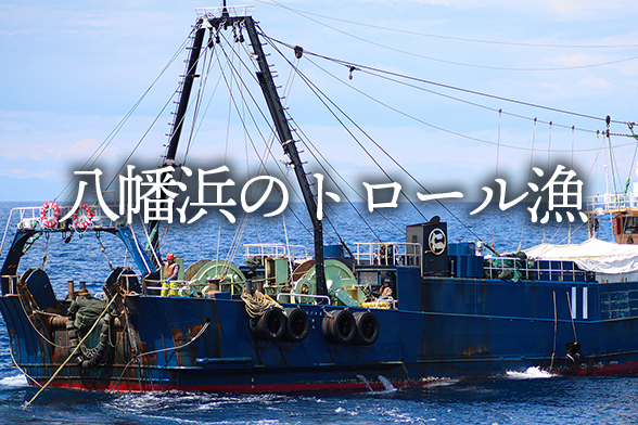 八幡浜のトロール漁